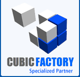 Cubic CMS. Specialized Partner